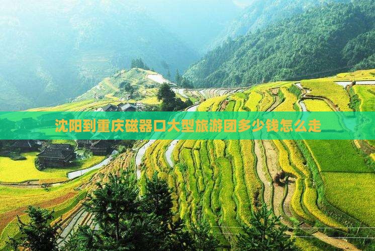沈阳到重庆磁器口大型旅游团