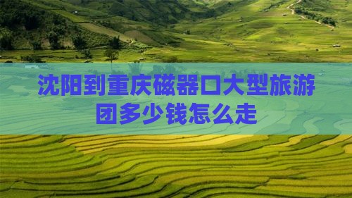 沈阳到重庆磁器口大型旅游团