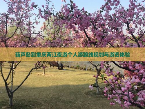 葫芦岛到重庆两江夜游个人游