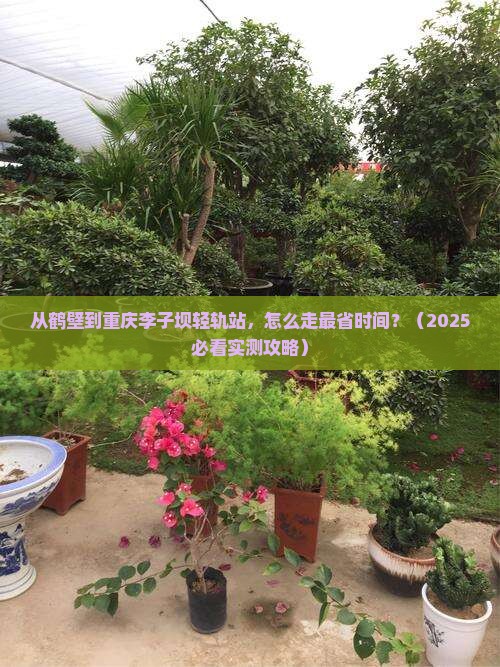 鹤壁去重庆李子坝轻轨站旅游