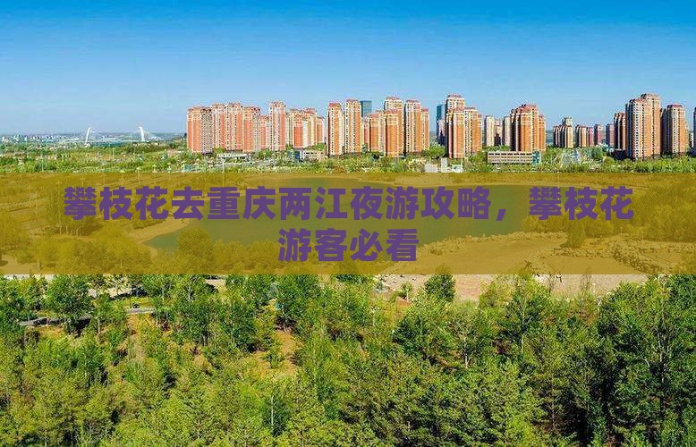攀枝花去重庆两江夜游旅行社