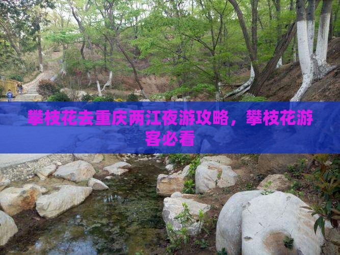 攀枝花去重庆两江夜游旅行社