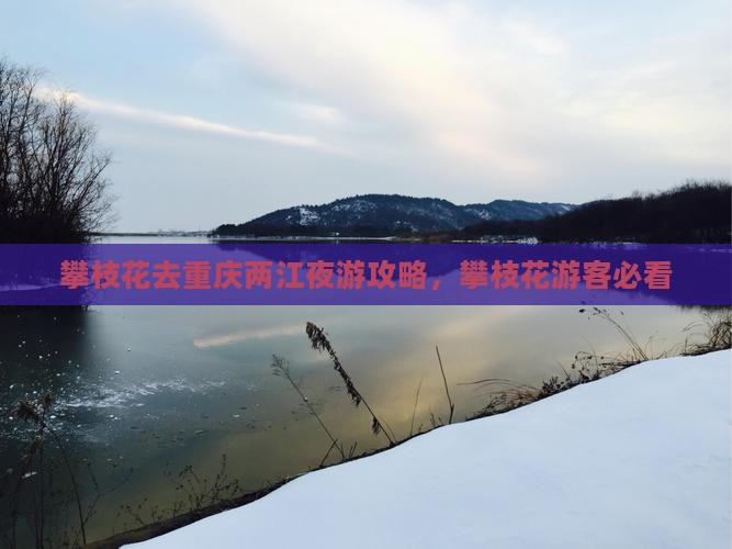 攀枝花去重庆两江夜游旅行社