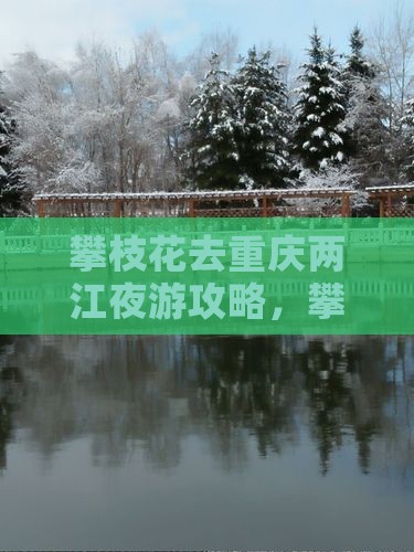 攀枝花去重庆两江夜游旅行社