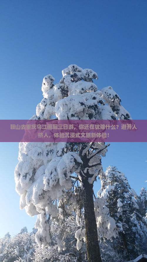 鞍山去重庆乌江画廊三日游