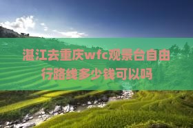 湛江去重庆wfc观景台自由行