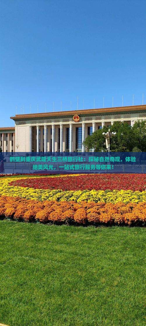 鹤壁到重庆武隆天生三桥旅行社