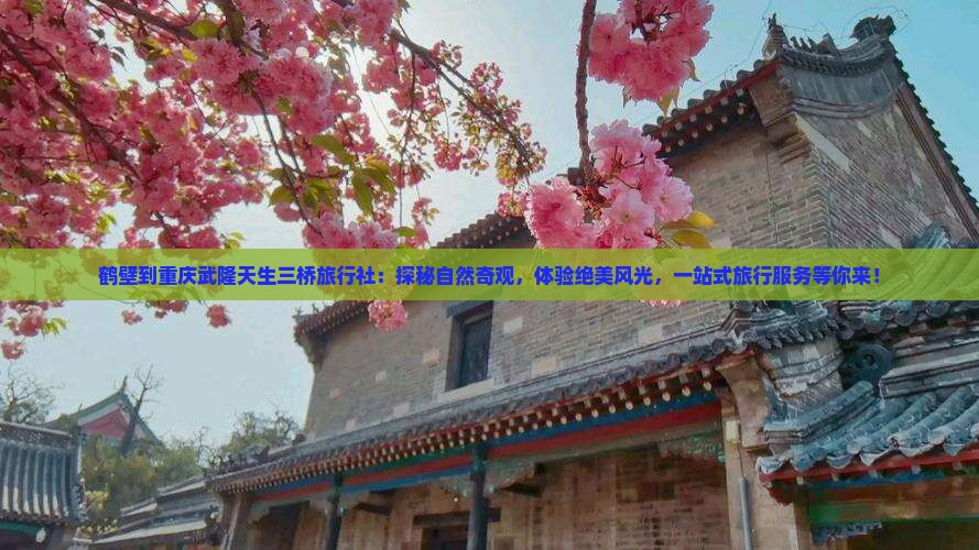 鹤壁到重庆武隆天生三桥旅行社