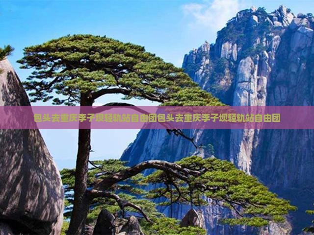 包头去重庆李子坝轻轨站自由团