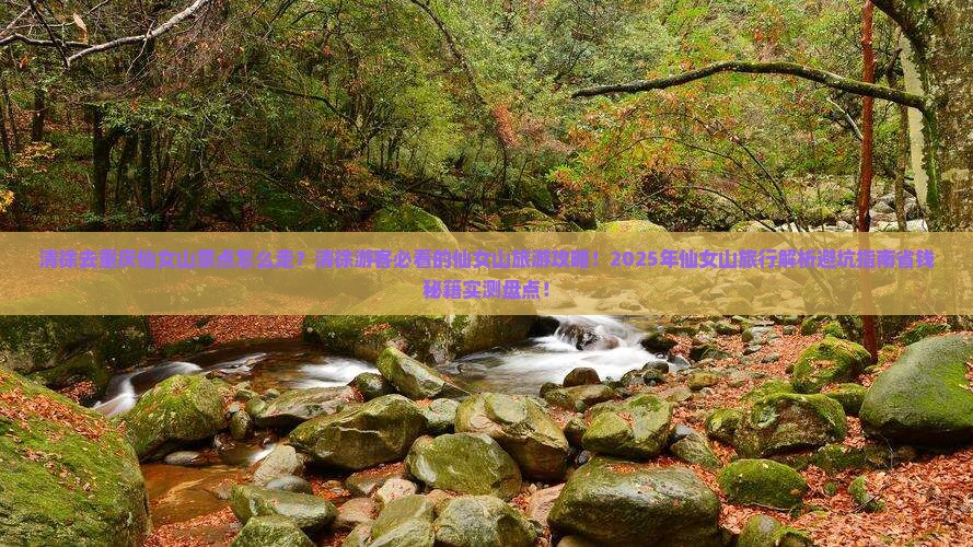 清徐去重庆仙女山景点