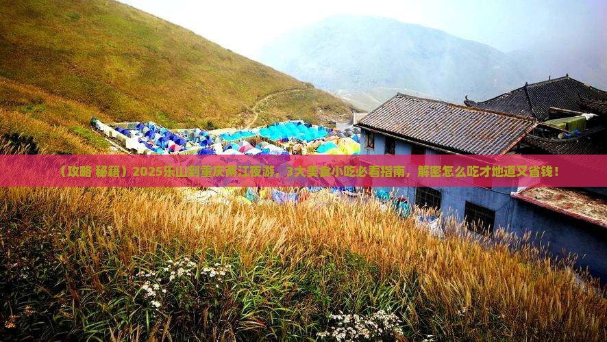 乐山到重庆两江夜游旅游小吃