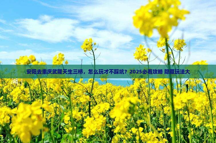安阳去重庆武隆天生三桥哪里玩