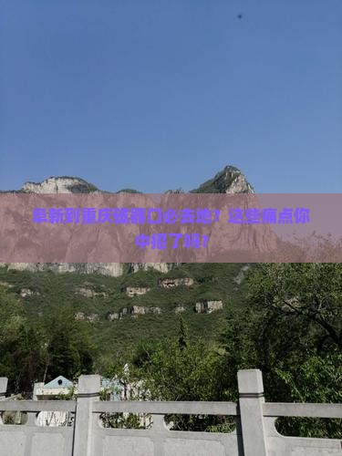 阜新到重庆磁器口必去地