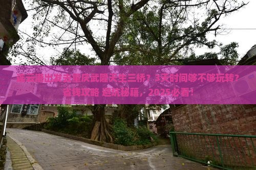 连云港到重庆武隆天生三桥一日