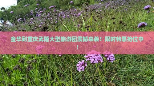 金华到重庆武隆大型旅游团