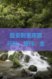 延安到重庆旅行社