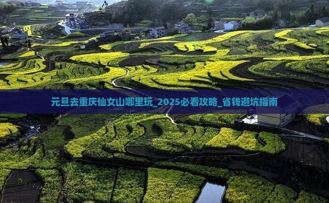 元旦去重庆仙女山哪里玩