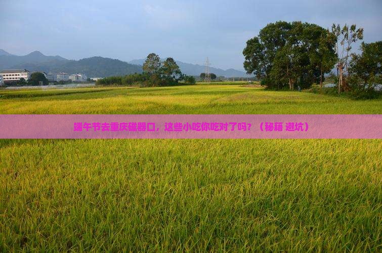 端午节去重庆磁器口旅游小吃