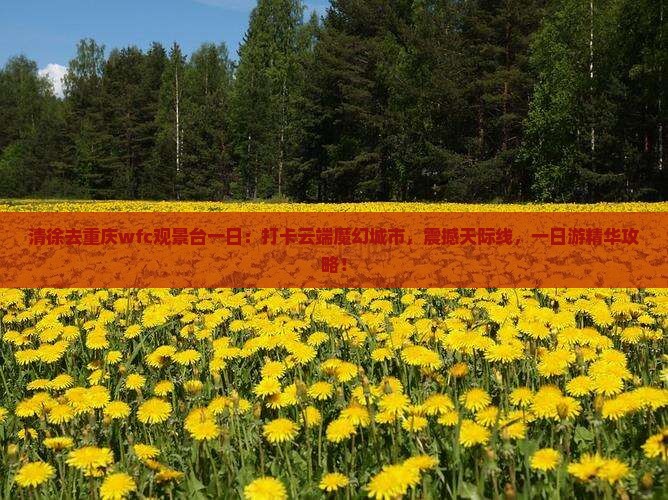 清徐去重庆wfc观景台一日