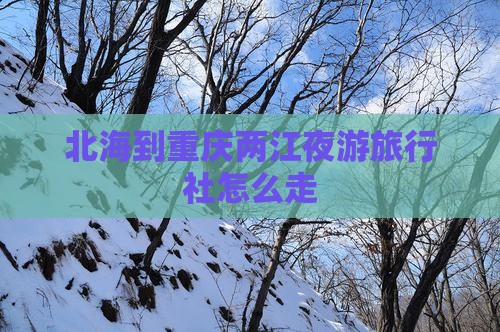 北海到重庆两江夜游旅行社