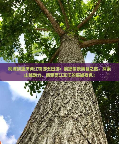 桐城到重庆两江夜游五日游
