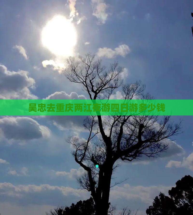 吴忠去重庆两江夜游四日游