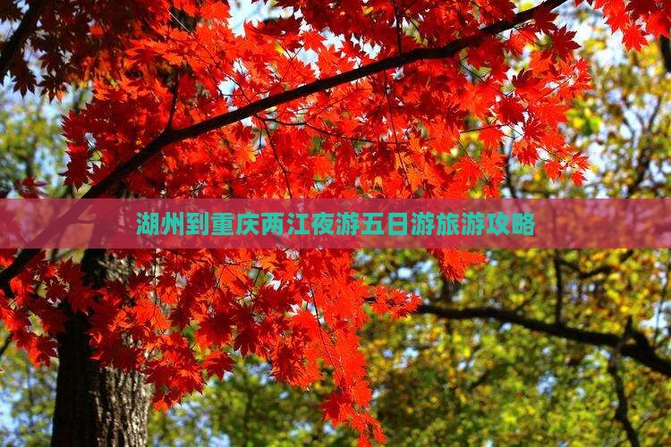 湖州去重庆两江夜游五日游