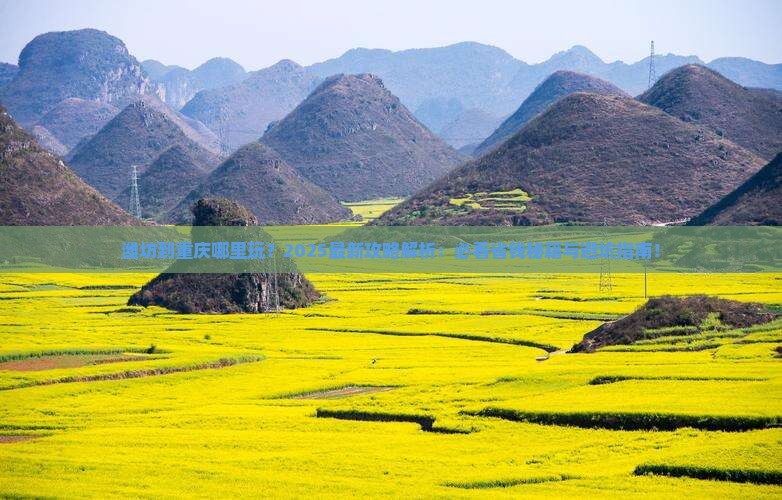 潍坊到重庆哪里玩