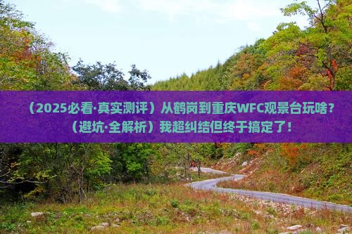 鹤岗去重庆wfc观景台哪里玩