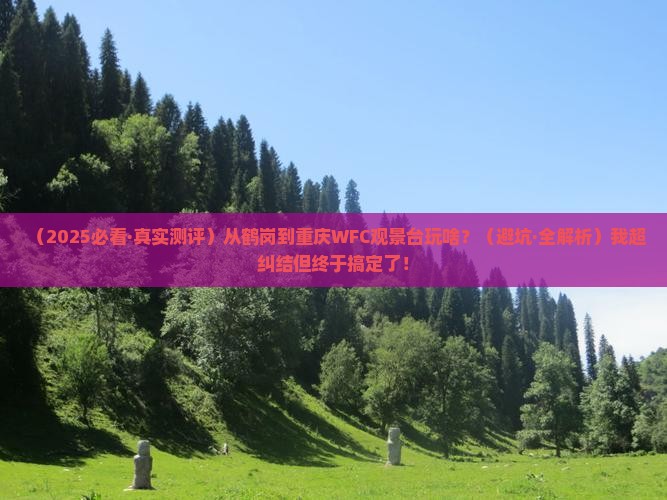 鹤岗去重庆wfc观景台哪里玩