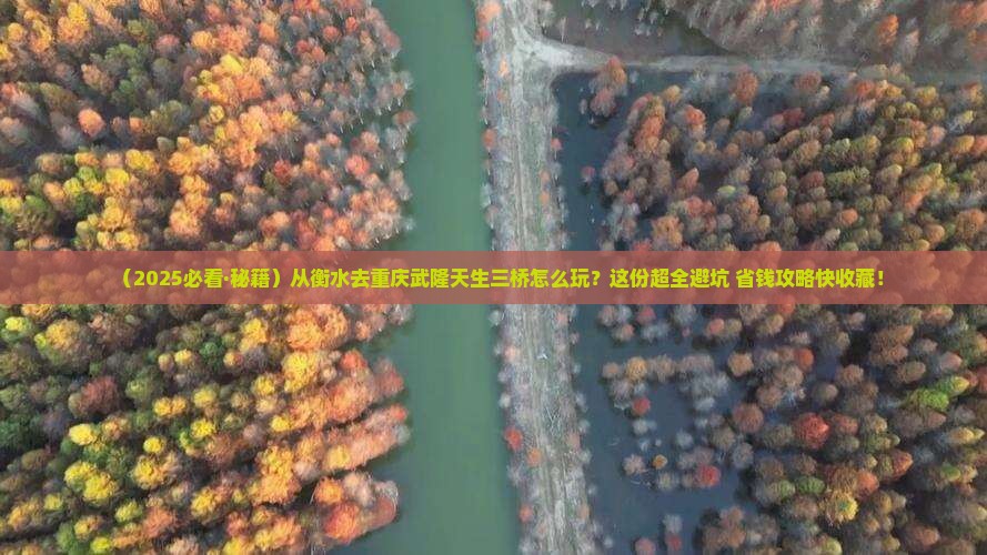 衡水到重庆武隆天生三桥哪里玩