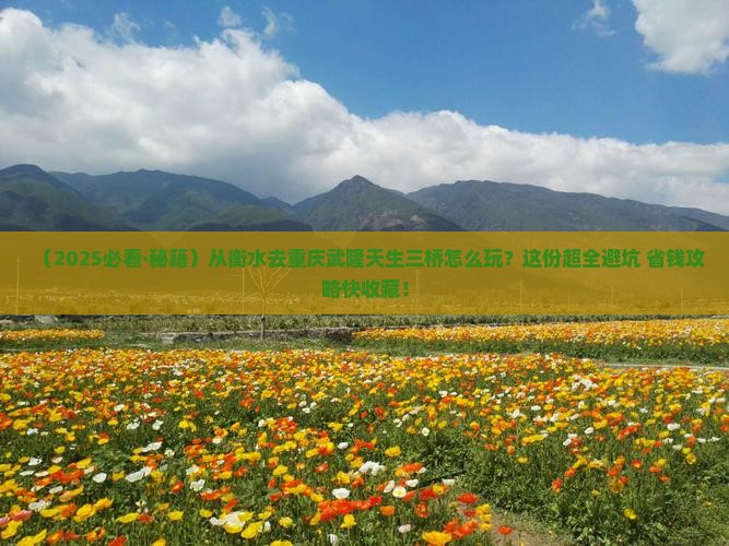 衡水到重庆武隆天生三桥哪里玩