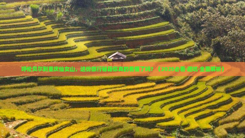 呼伦贝尔到重庆仙女山旅行社