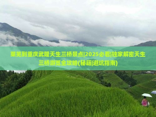 莱芜到重庆武隆天生三桥景点