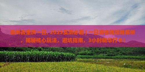 德州去重庆一日