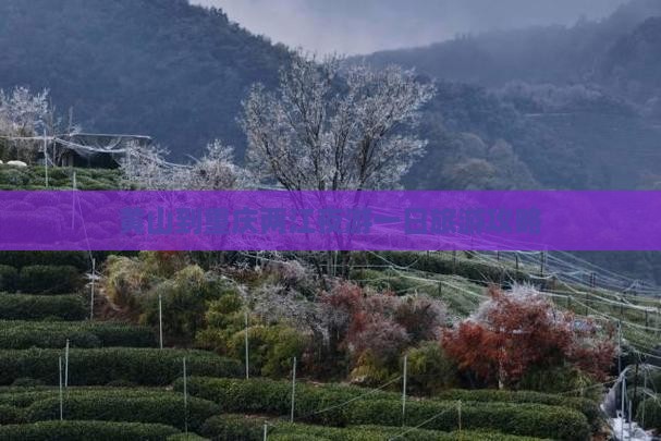黄山到重庆两江夜游一日