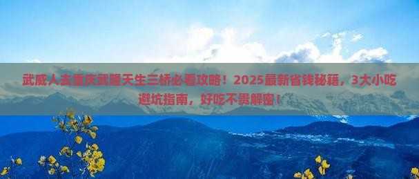 武威去重庆武隆天生三桥旅游小吃