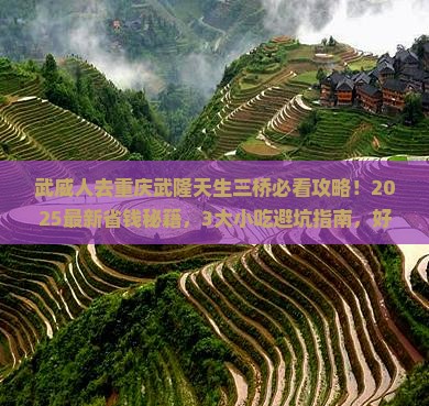 武威去重庆武隆天生三桥旅游小吃