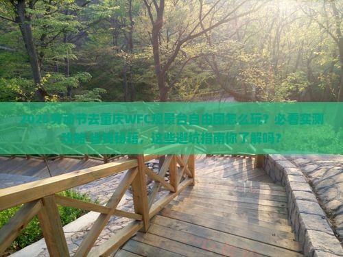劳动节到重庆wfc观景台自由团