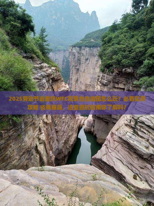 劳动节到重庆wfc观景台自由团