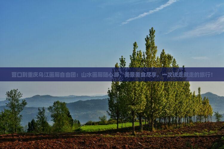 营口到重庆乌江画廊自由团
