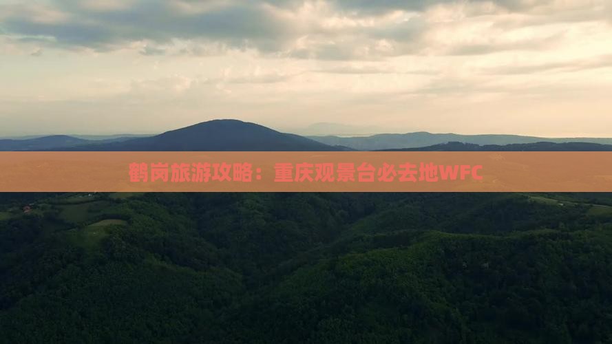 鹤岗去重庆wfc观景台必去地