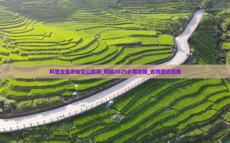 阿里去重庆仙女山旅游
