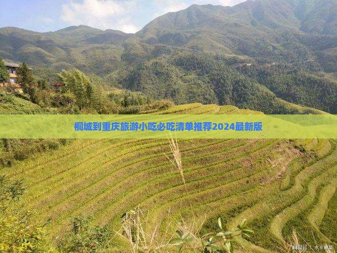 桐城到重庆旅游小吃