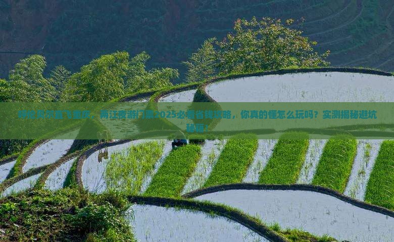 呼伦贝尔去重庆两江夜游门票
