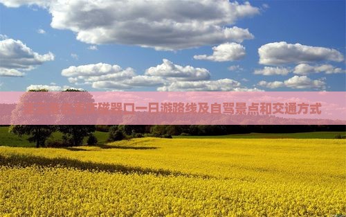 连云港去重庆磁器口一日