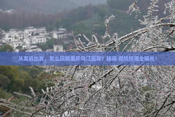 龙岩去重庆乌江画廊景点