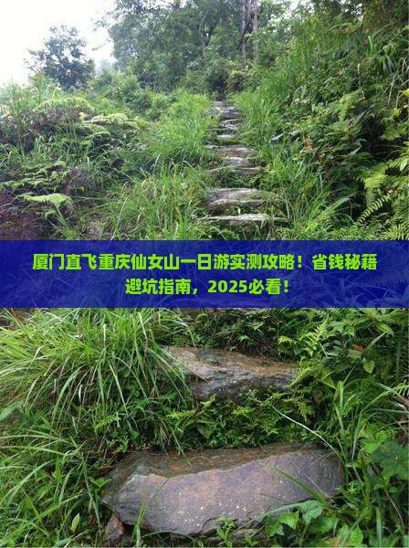 厦门去重庆仙女山一日
