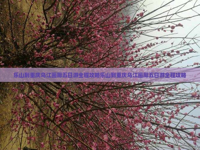 乐山到重庆乌江画廊五日游