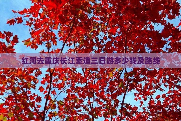 红河去重庆长江索道三日游